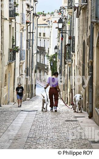 LA  RUE DU BERGER, MONTPELLIER COEUR DE VILLE , HERAULT, LANGUEDOC. (34F01435.jpg)