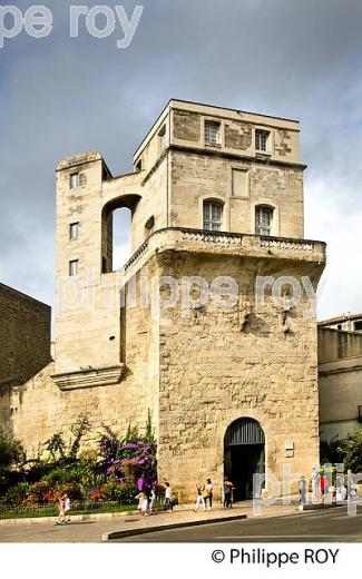 LA TOUR DE LA  BABOTE,  MONTPELLIER COEUR DE VILLE , HERAULT, LANGUEDOC. (34F01533.jpg)