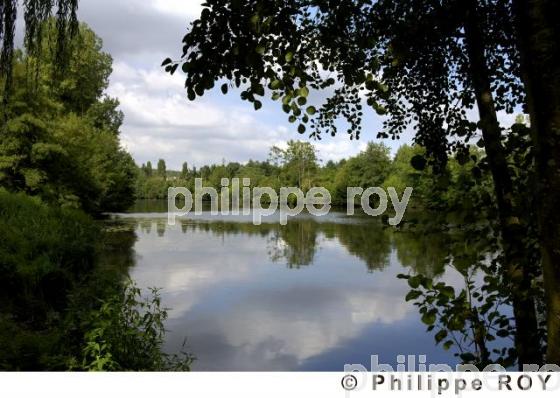 Parc rgional de la Brenne (36F00303.jpg)