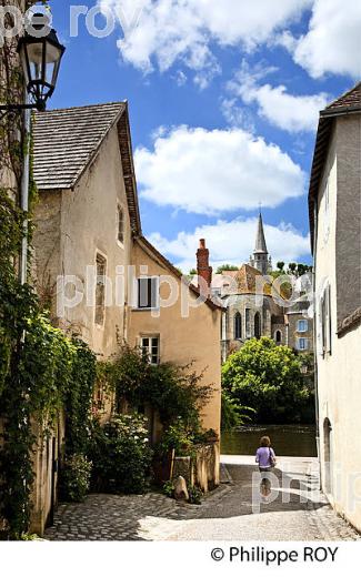 ARGENTON SUR CREUSE, VALLEE DE LA CREUSE, INDRE (36F00530.jpg)