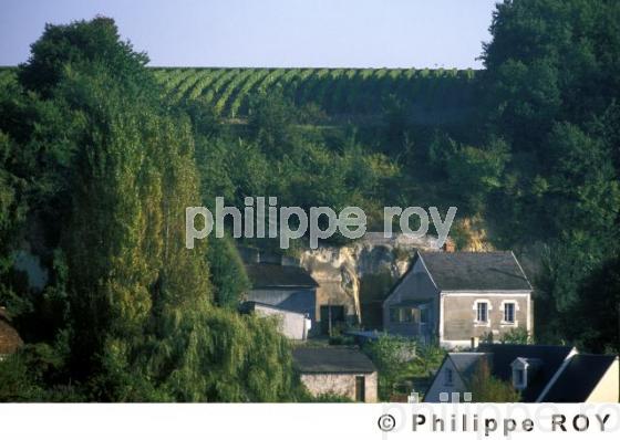 Vignoble du Val de Loire (37V00129.jpg)