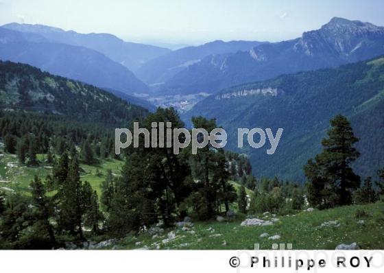 Les Alpes (38F00109.jpg)