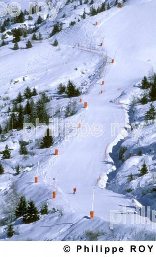 Les Alpes (38F00113.jpg)