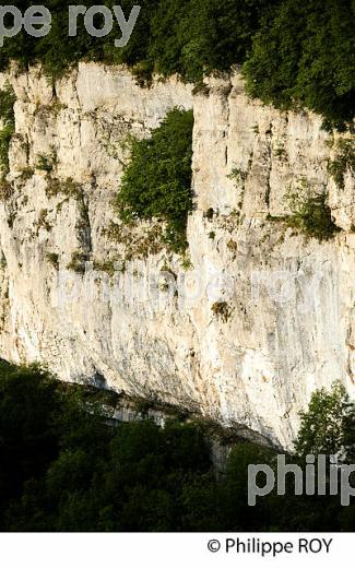 FALAISE, CIRQUE DE BAUME-LES-MESSIEURS, JURA, FRANCE (39F00716.jpg)