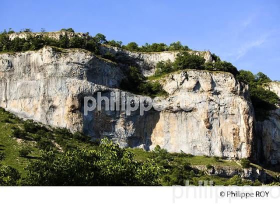 FALAISE, CIRQUE DE BAUME-LES-MESSIEURS, JURA, FRANCE (39F00718.jpg)