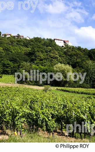 VIGNOBLE JURASSIEN, AOC COTES DU JURA, JURA, FRANCE (39F00828.jpg)