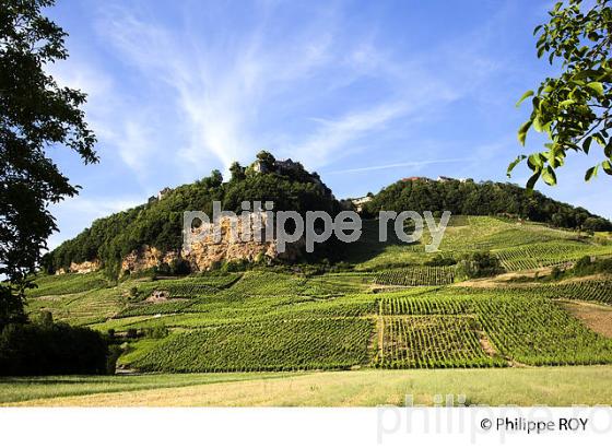 VIGNOBLE JURASSIEN, AOC CHATEAU-CHALON, JURA, FRANCE (39F00918.jpg)