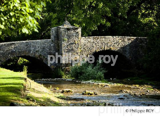 VIEUX PONT EN PIERRE SUR LA SEILLE, JURA, FRANCE (39F00921.jpg)