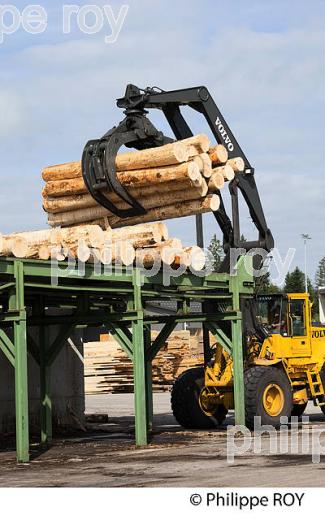 PRODUCTION DE BOIS, SCIERIE INDUSTRIELLE, JURA, FRANCE (39F01712.jpg)