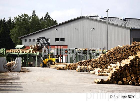 PRODUCTION DE BOIS, SCIERIE INDUSTRIELLE, JURA, FRANCE (39F01717.jpg)