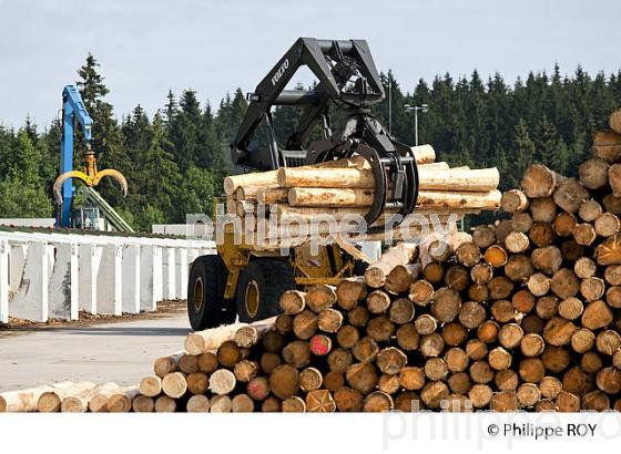 PRODUCTION DE BOIS, SCIERIE INDUSTRIELLE, JURA, FRANCE (39F01718.jpg)