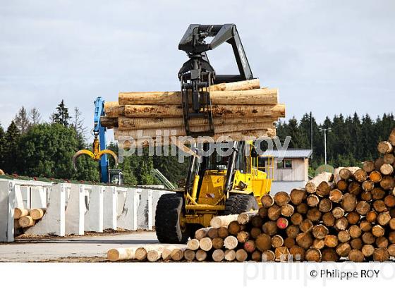 PRODUCTION DE BOIS, SCIERIE INDUSTRIELLE, JURA, FRANCE (39F01719.jpg)