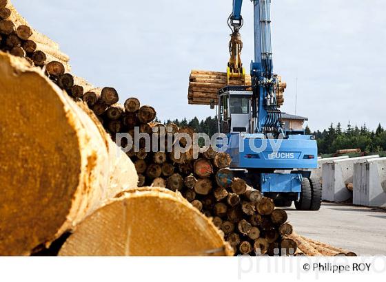 PRODUCTION DE BOIS, SCIERIE INDUSTRIELLE, JURA, FRANCE (39F01724.jpg)