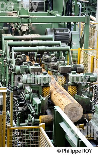 PRODUCTION DE BOIS, SCIERIE INDUSTRIELLE, JURA, FRANCE (39F01730.jpg)
