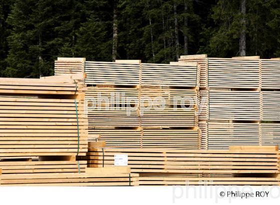 PRODUCTION DE BOIS, SCIERIE INDUSTRIELLE, JURA, FRANCE (39F01801.jpg)