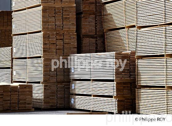 PRODUCTION DE BOIS, SCIERIE INDUSTRIELLE, JURA, FRANCE (39F01804.jpg)