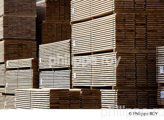 PRODUCTION DE BOIS, SCIERIE INDUSTRIELLE, JURA, FRANCE (39F01805.jpg)
