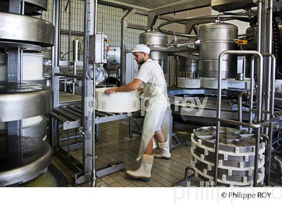 FABRICATION DU FROMAGE DE COMTE, JURA, FRANCE (39F02028.jpg)