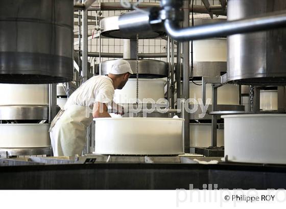 FABRICATION DU FROMAGE DE COMTE, JURA, FRANCE (39F02031.jpg)