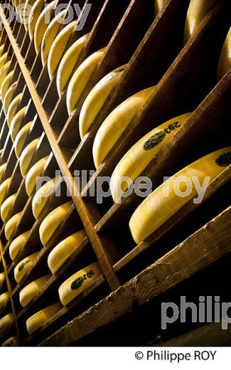 FABRICATION DU FROMAGE DE COMTE, JURA, FRANCE (39F02037.jpg)