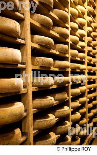 FABRICATION DU FROMAGE DE COMTE, JURA, FRANCE (39F02038.jpg)