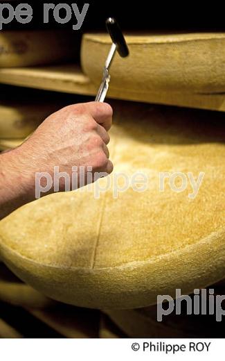 FABRICATION DU FROMAGE DE COMTE, JURA, FRANCE (39F02039.jpg)