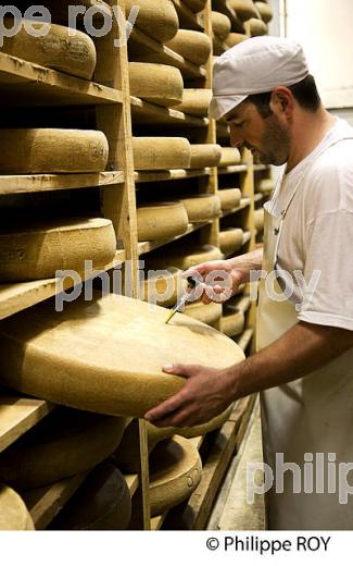 FABRICATION DU FROMAGE DE COMTE, JURA, FRANCE (39F02102.jpg)