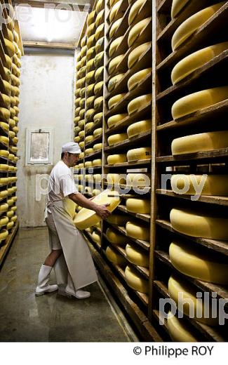 FABRICATION DU FROMAGE DE COMTE, JURA, FRANCE (39F02103.jpg)