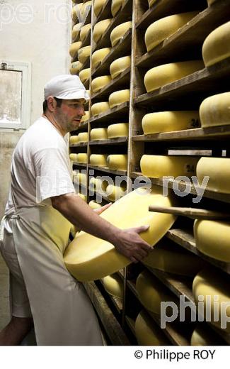 FABRICATION DU FROMAGE DE COMTE, JURA, FRANCE (39F02104.jpg)