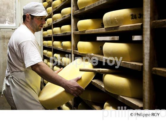 FABRICATION DU FROMAGE DE COMTE, JURA, FRANCE (39F02105.jpg)