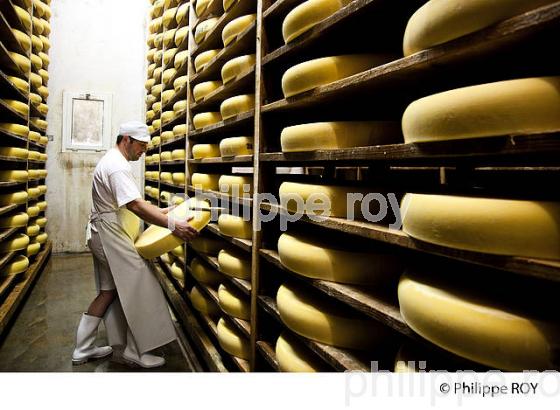 FABRICATION DU FROMAGE DE COMTE, JURA, FRANCE (39F02106.jpg)