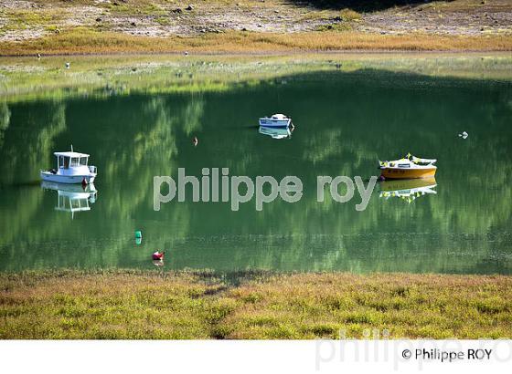 LAC DE BARRAGE DE VOUGLANS, JURA, FRANCE (39F02134.jpg)