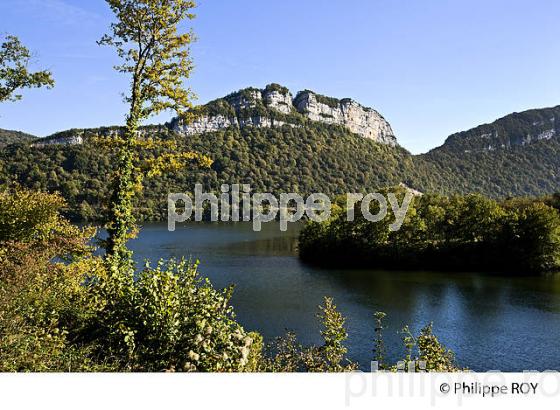 LAC DE BARRAGE DE VOUGLANS, JURA, FRANCE (39F02236.jpg)