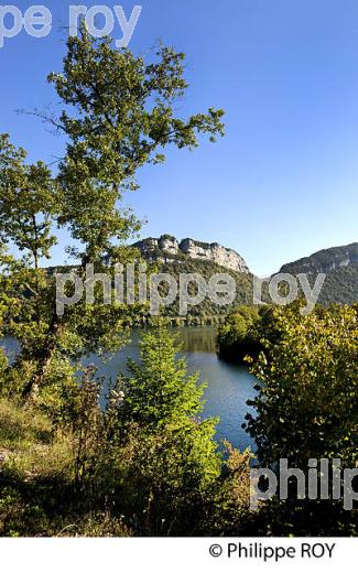 LAC DE BARRAGE DE VOUGLANS, JURA, FRANCE (39F02238.jpg)