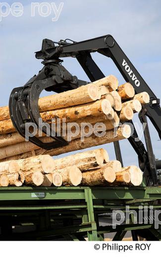 PRODUCTION DE BOIS, SCIERIE INDUSTRIELLE, JURA, FRANCE (39F02503.jpg)