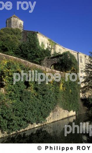Abbaye - Sorde (40F00411.jpg)