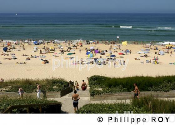 Les Landes (40F00729.jpg)
