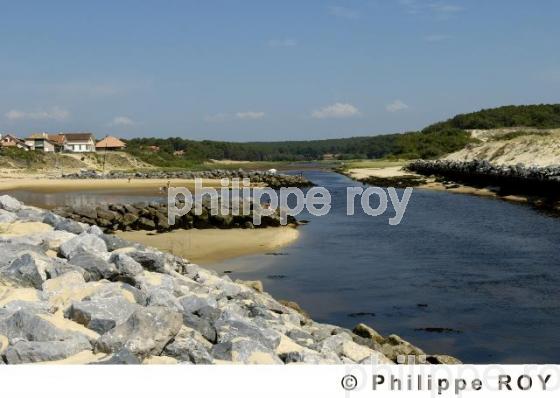 Les Landes (40F00820.jpg)