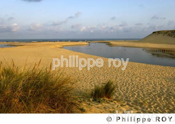 Les Landes (40F00914.jpg)