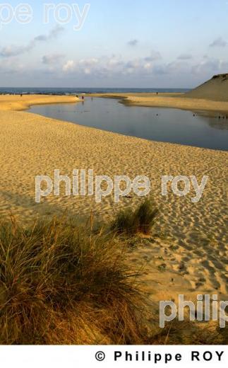 Les Landes (40F00917.jpg)