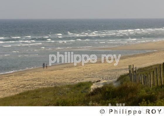 Les Landes (40F01022.jpg)