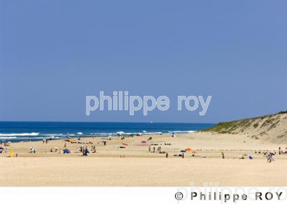 Les Landes (40F01029.jpg)