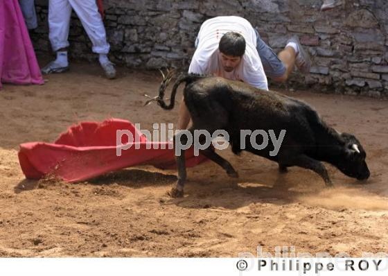 Tauromachie - Landes (40F01208.jpg)