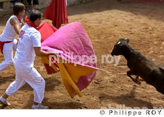 Tauromachie - Landes (40F01210.jpg)