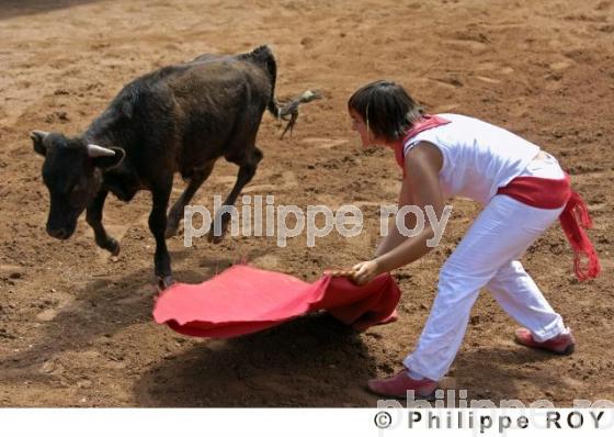 Tauromachie - Landes (40F01211.jpg)