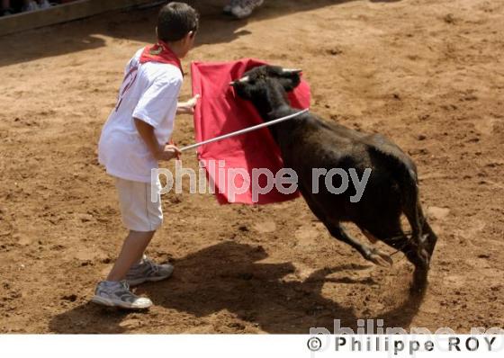 Tauromachie - Landes (40F01212.jpg)