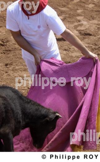 Tauromachie - Landes (40F01214.jpg)