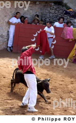 Tauromachie - Landes (40F01215.jpg)