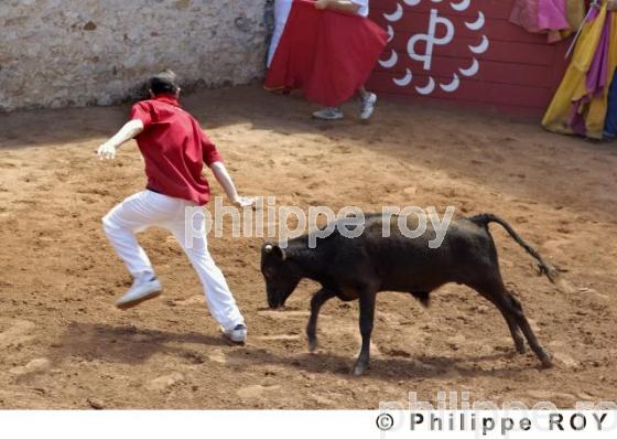 Tauromachie - Landes (40F01218.jpg)