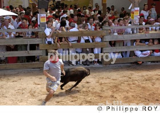 Tauromachie - Landes (40F01219.jpg)